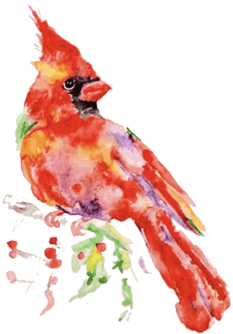 cardinal-2