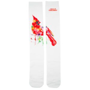 A pair of white socks with red and green paint on them.